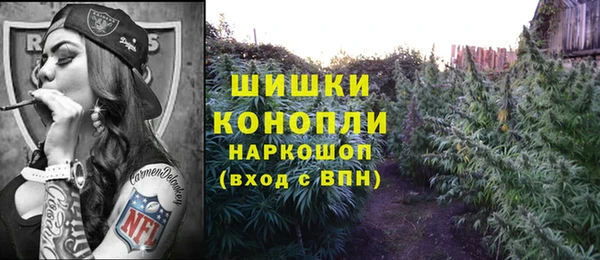 шишки Алзамай