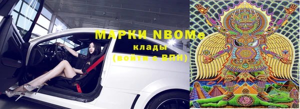 шишки Алзамай