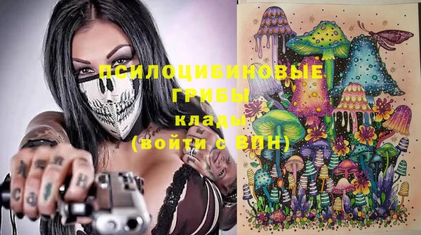 гидропоника Алексин