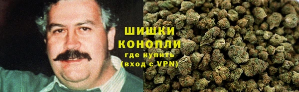 шишки Алзамай