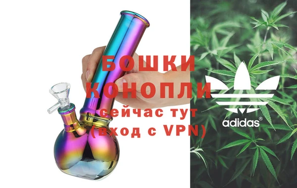 шишки Алзамай