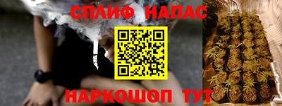 СК Краснознаменск
