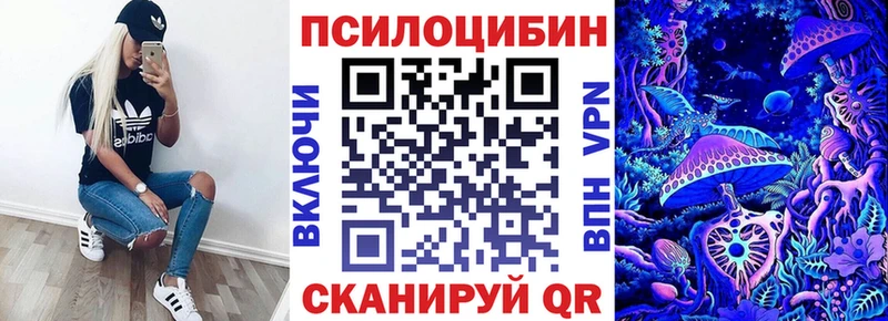 нарко площадка официальный сайт магазин продажи Дивногорск Псилоцибиновые грибы MAGIC MUSHROOMS