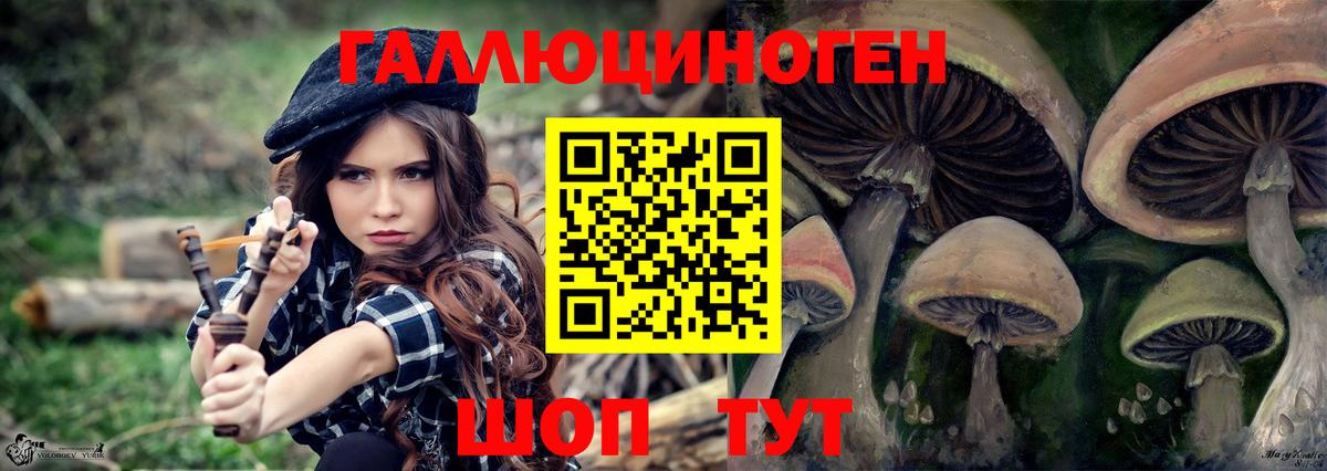 Дивногорск  Псилоцибиновые грибы Magic Shrooms  Вход с VPN 